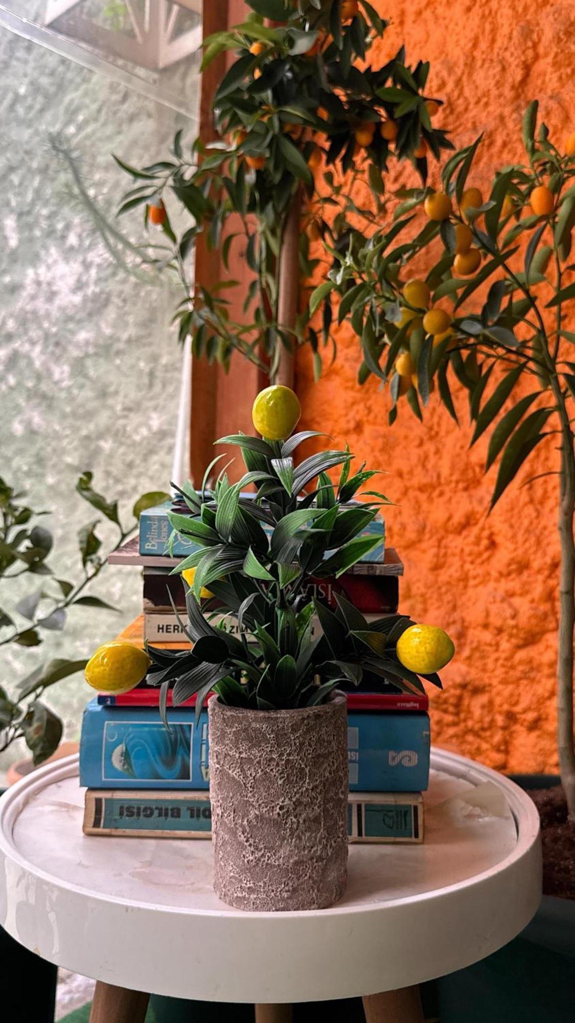 אודיירן Limon Hotel מראה חיצוני תמונה